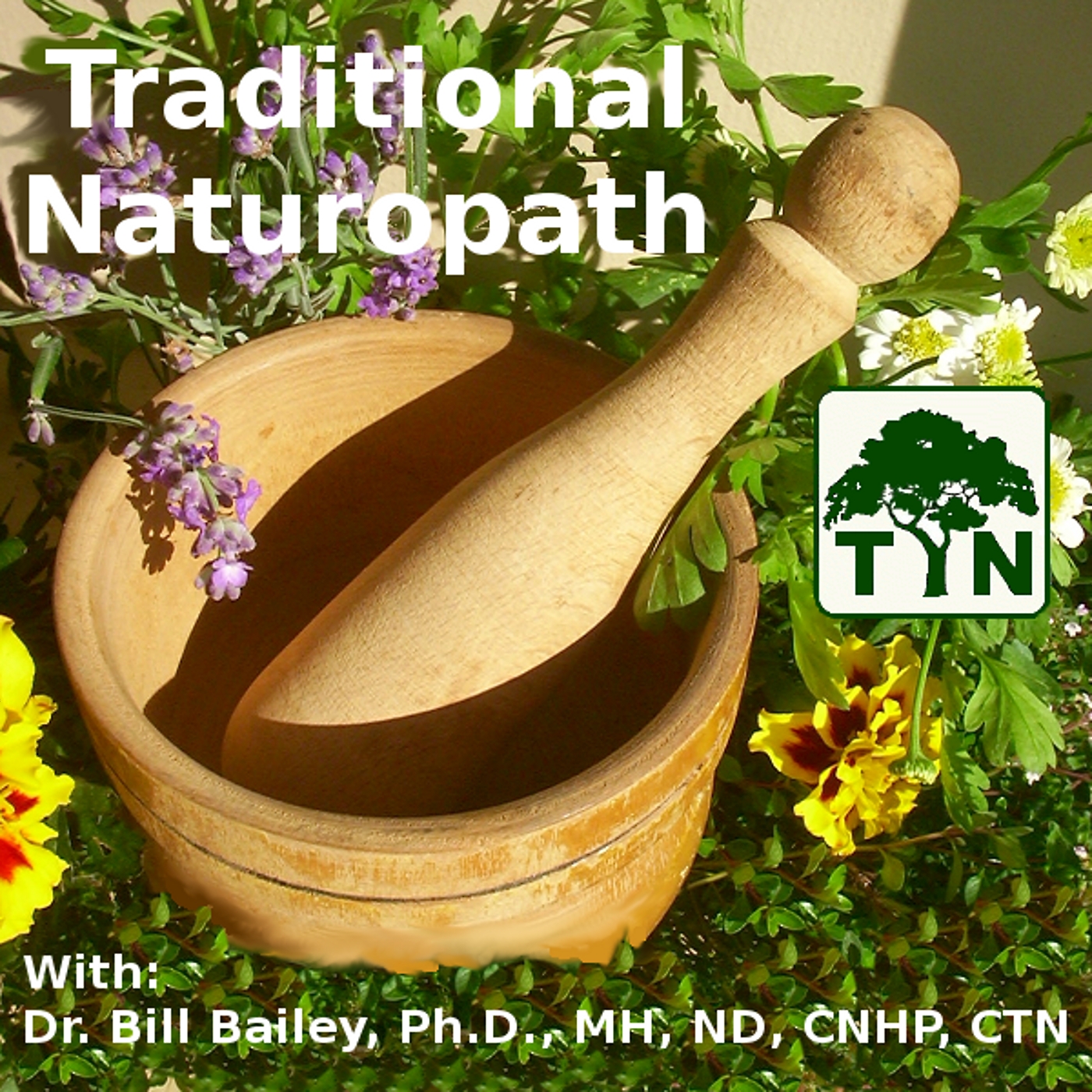 The Traditional Naturopath